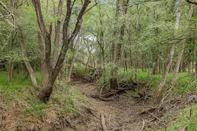 Tbd County Road 433, Dime Box, TX 77853 - Photo 3