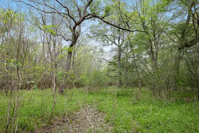 Tbd County Road 433, Dime Box, TX 77853 - Photo 7