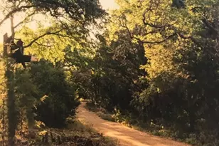 153 Rocky River Rd, Georgetown, TX 78628 - Photo 19