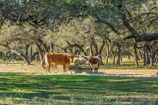 24105 Fm 1431, Marble Falls, TX 78654 - Photo 3