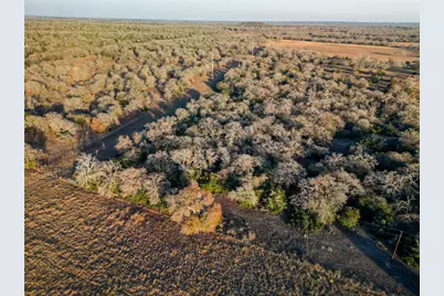 000 Sandy Pine Road, Luling, TX 78648 - Photo 9