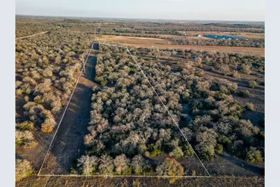 000 Sandy Pine Road, Luling, TX 78648 - Photo 7