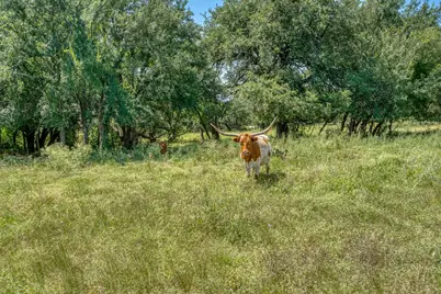 1498 Elmer King Road, Belton, TX 76513 - Photo 19