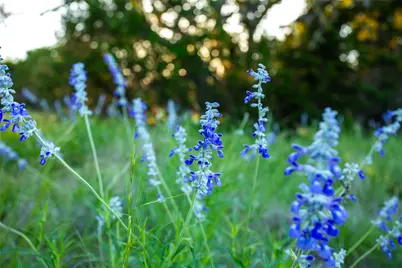 225 Lost Man Road, Mountain Home, TX 78058 - Photo 23