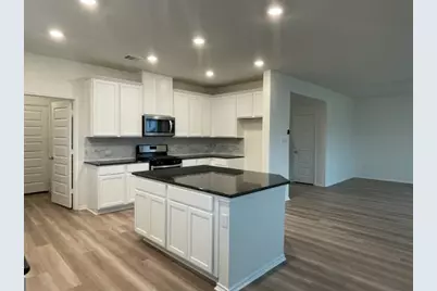 4519 Avellino Drive, Round Rock, TX 78665 - Photo 15