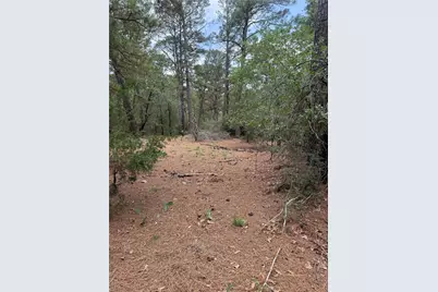 Lot 35 Tanglewood Drive, Bastrop, TX 78602 - Photo 3