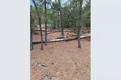 Lot 35 Tanglewood Drive, Bastrop, TX 78602 - Photo 5