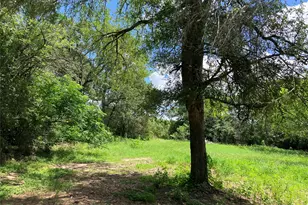 693 St Mary's Rd, Rosanky, TX 78953 - Photo 5