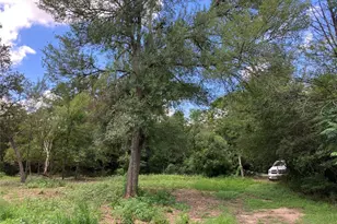 693 St Mary's Rd, Rosanky, TX 78953 - Photo 3