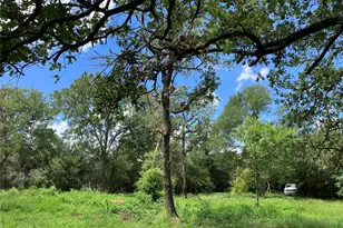 693 St Mary's Rd, Rosanky, TX 78953 - Photo 9