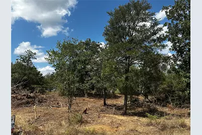 Tbd N Gaines Road, Cedar Creek, TX 78602 - Photo 17