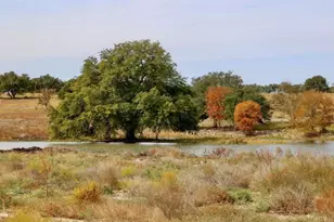 112 Gibbs Dr, Liberty Hill, TX 78642 - Photo 29