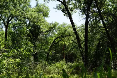 5548 Cr 322, Rockdale, TX 76567 - Photo 7