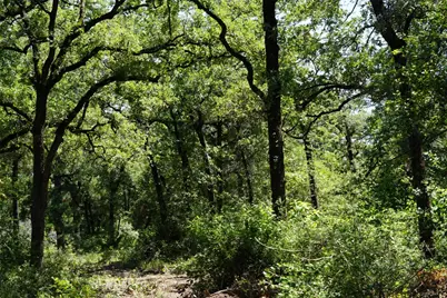 5548 Cr 322, Rockdale, TX 76567 - Photo 13