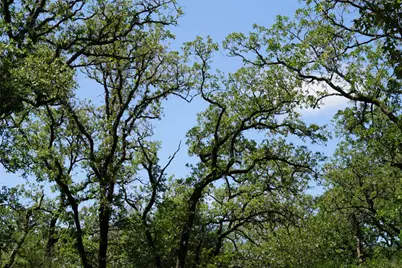 5548 Cr 322, Rockdale, TX 76567 - Photo 21