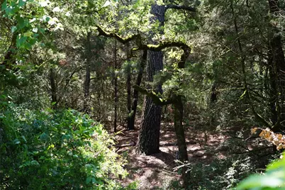 5548 Cr 322, Rockdale, TX 76567 - Photo 25