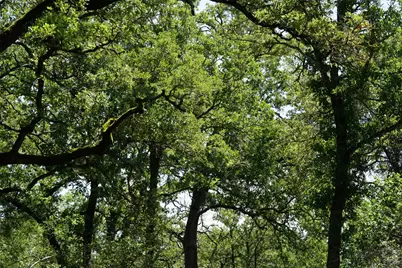 5548 Cr 322, Rockdale, TX 76567 - Photo 17