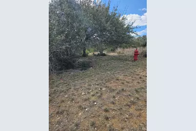 2912 Davis Cove, Jonestown, TX 78645 - Photo 5