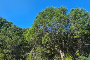 7406 White Oak Dr, Lago Vista, TX 78645 - Photo 1