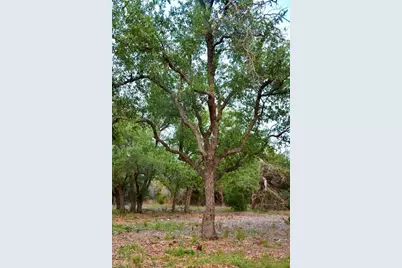 201 Medlin Creek Loop, Dripping Springs, TX 78620 - Photo 13