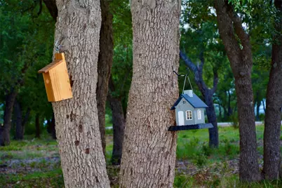 201 Medlin Creek Loop, Dripping Springs, TX 78620 - Photo 11