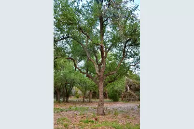 201 Medlin Creek Loop, Dripping Springs, TX 78620 - Photo 13