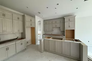 313 Knockout Rose Dr, San Marcos, TX 78666 - Photo 7