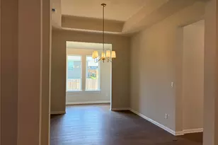 313 Knockout Rose Dr, San Marcos, TX 78666 - Photo 13
