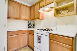 203 Fistral Dr, Hutto, TX 78634 - Photo 3