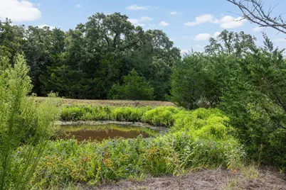3555 County Road 430, Dime Box, TX 77853 - Photo 3