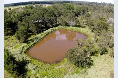 1085 County Road 426, Dime Box, TX 77853 - Photo 3