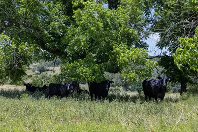 8845 Fm 2657, Briggs, TX 78608 - Photo 27
