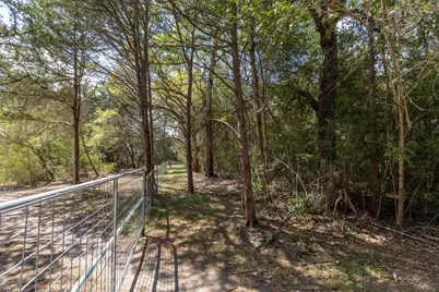 1956 (Tract #2) Baca Loop, Flatonia, TX 78941 - Photo 21
