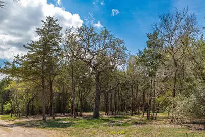 1956 (Tract #2) Baca Loop, Flatonia, TX 78941 - Photo 29