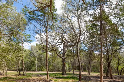 1956 (Tract #2) Baca Loop, Flatonia, TX 78941 - Photo 25