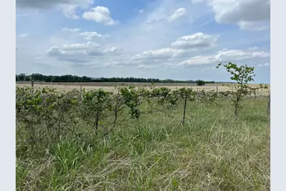 000 County Rd 269, Oglesby, TX 76561 - Photo 11