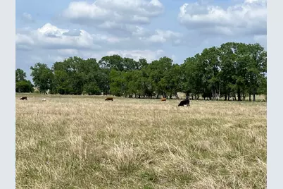 000 County Rd 269, Oglesby, TX 76561 - Photo 13