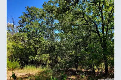 Tbd Dale Road, Dale, TX 78616 - Photo 11