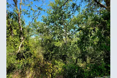 Tbd Dale Road, Dale, TX 78616 - Photo 13