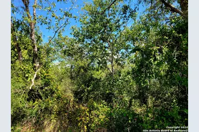 Tbd Dale Road, Dale, TX 78616 - Photo 3