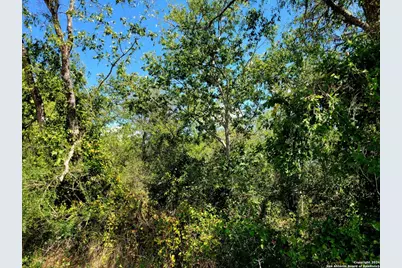 Tbd Dale Road, Dale, TX 78616 - Photo 13