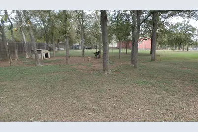 150 Mandy Lane, Red Rock, TX 78662 - Photo 31