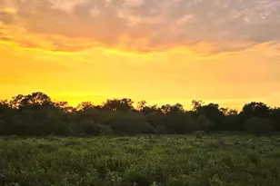 124 Valley Creek Dr, Cedar Creek, TX 78612 - Photo 11