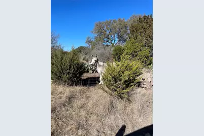 305 Walnut Springs Ranch Road, Uvalde, TX 78801 - Photo 19