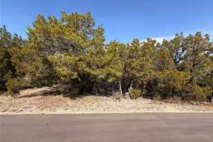 20206 Lee Ln, Lago Vista, TX 78645 - Photo 1