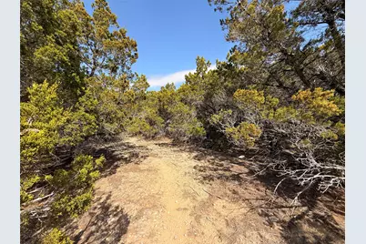 20206 Lee Lane, Lago Vista, TX 78645 - Photo 5