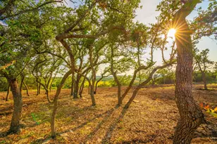 [Address not provided], Dripping Springs, TX 78676 - Photo 1