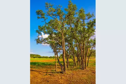 [Address not provided], Dripping Springs, TX 78676 - Photo 3