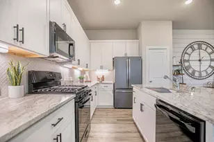 113 Flora Spgs Cv, Liberty Hill, TX 78642 - Photo 9