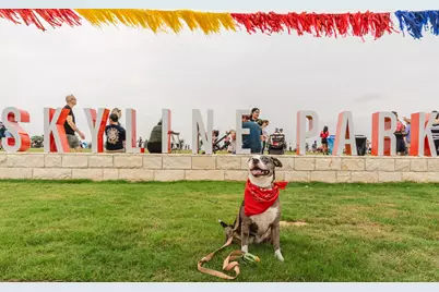 7011 Woodford Way, Austin, TX 78744 - Photo 9